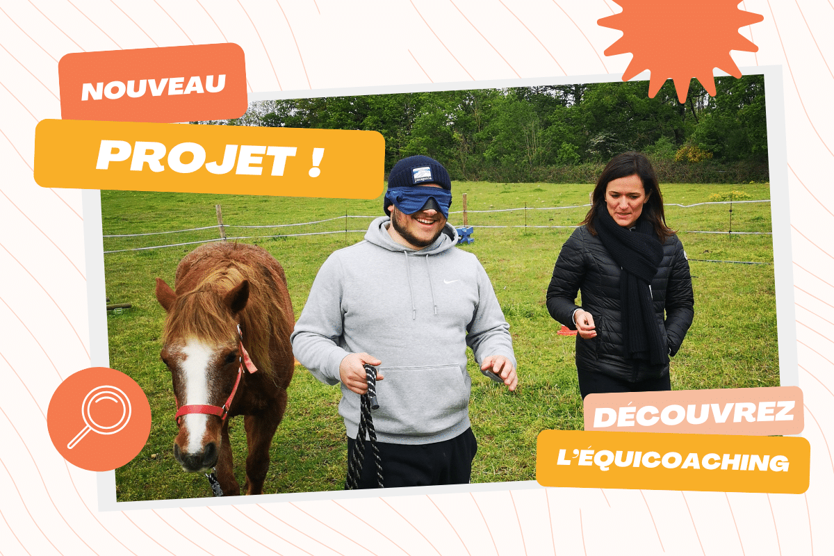 Découvrez l’Equicoaching !?⭐